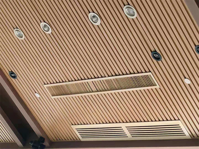 أفضل بيع لوحات الحائط البلاستيكية الداخلية