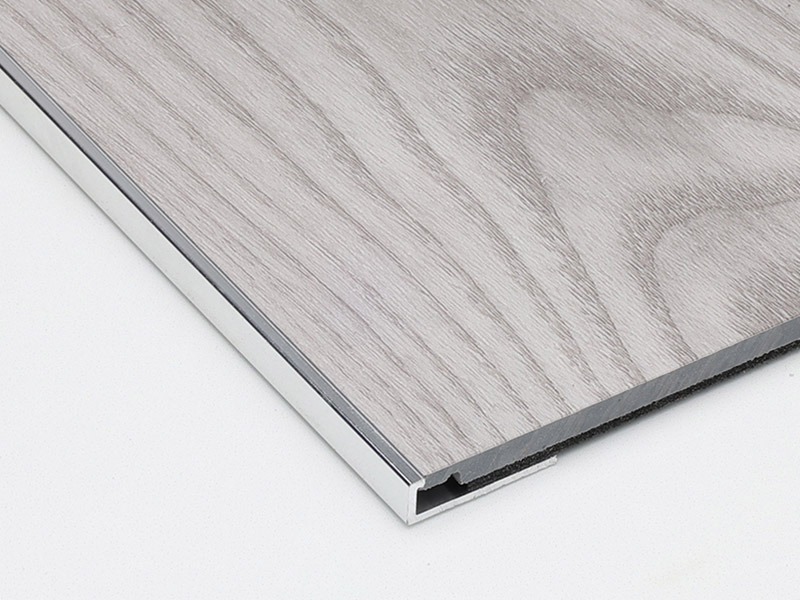 حافة حافة أرضية القناة C