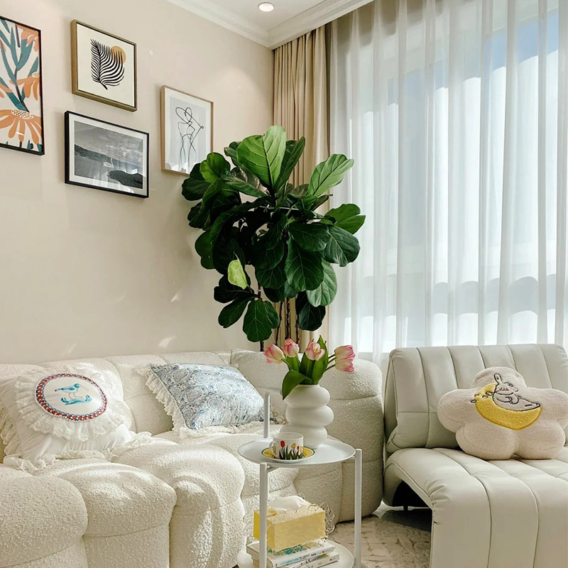 ما هي مزايا وعيوب طين الدياتوم؟