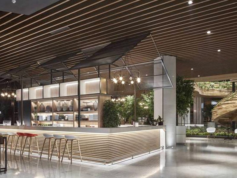 دليل شامل للحيات السقف