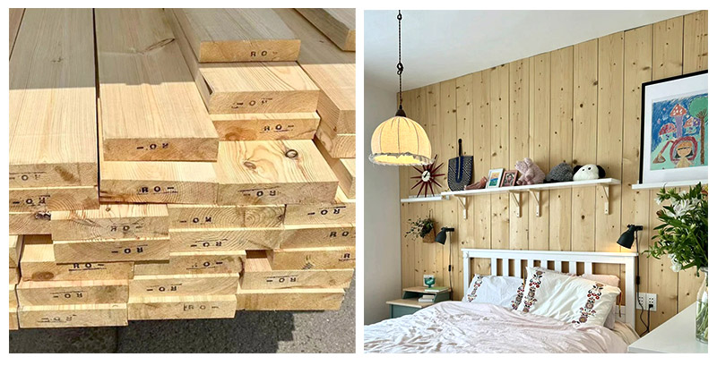 تلبيسة الصنوبر